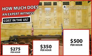 Expert Witness Cost